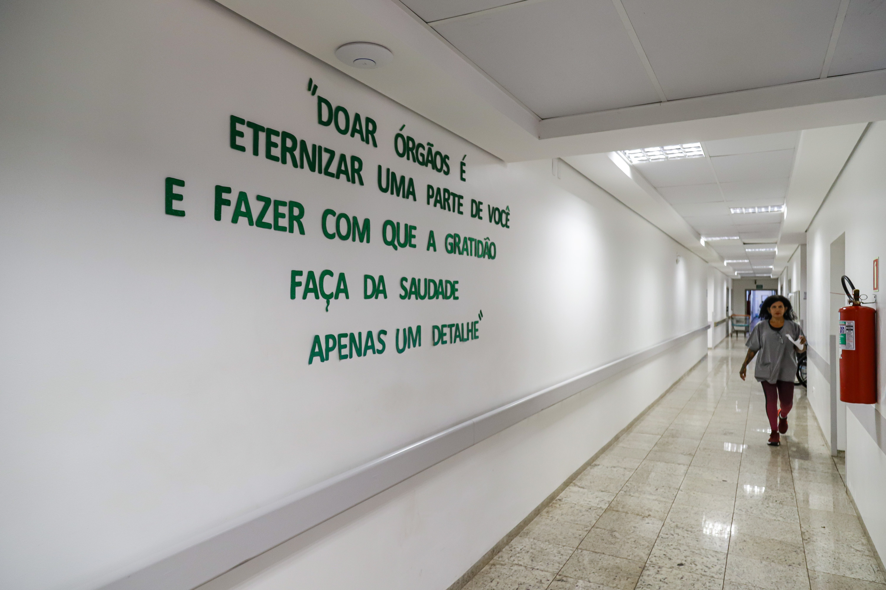 Paraná reforça conscientização no Dia da Doação de Órgãos