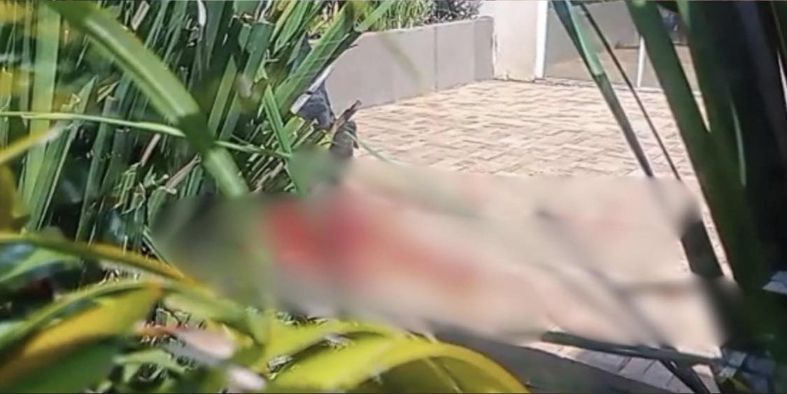 Menino de 4 anos morre após ataque de rottweiler em Chapecó