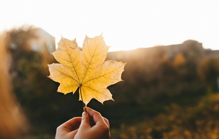 Semana será de sol e temperaturas baixas em SC