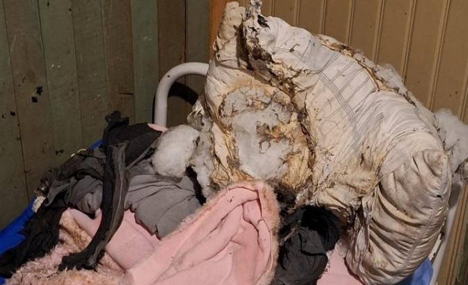 Homens invadem residência, jogam gasolina e ateiam fogo em idoso acamado em Luzerna