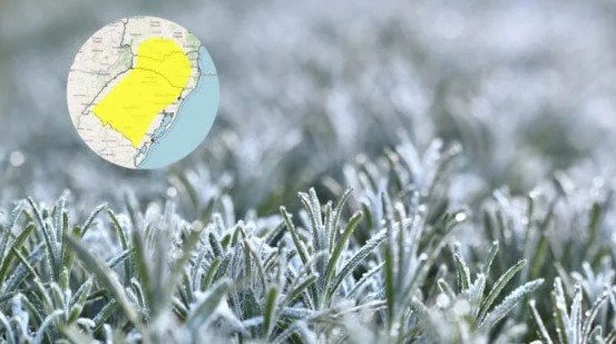 Mínimas de até 3°C e alerta de geada surpreendem quase 700 cidades do Sul do Brasil; veja onde o frio será maior
