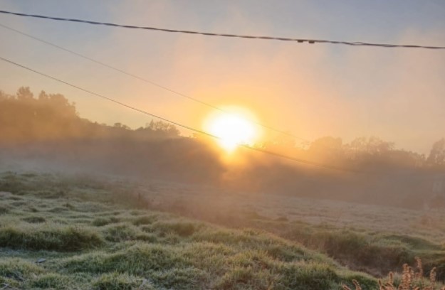 Em Maravilha, mínima chegou a 0ºC nesta terça-feira (12), e comunidade registra imagens de geada