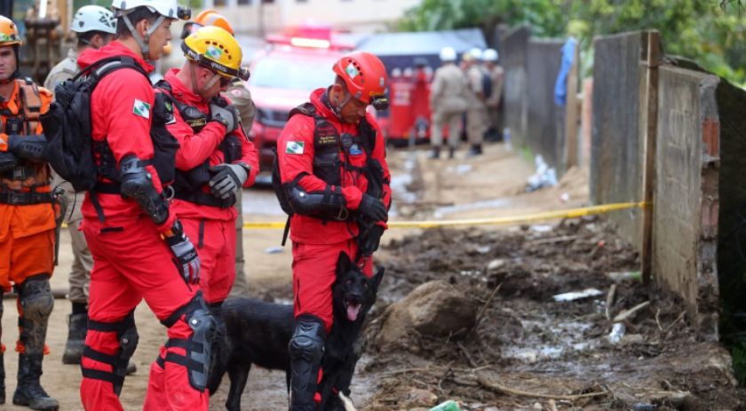 Paraná manda mais sete bombeiros e três cães para ajudar o Rio Grande do Sul