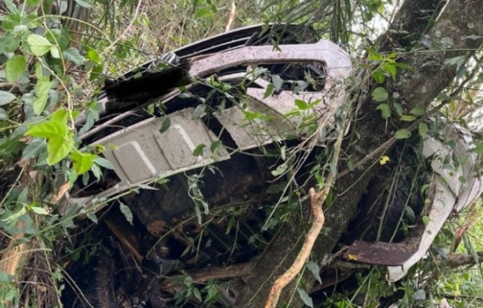 Caminhonete sai da pista e colide contra árvores após acidente em Cunha Porã