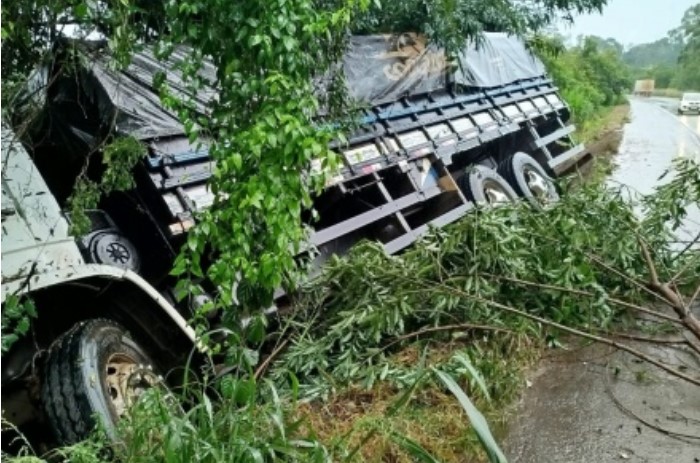 Caminhão sai da pista e colide em árvore na BR 282