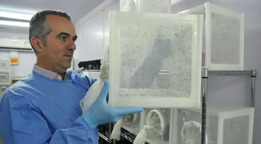 Brasileiro criador do “Aedes” que bloqueia dengue é eleito pela Nature L