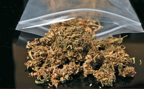 Popularização da droga K9 preocupa autoridades