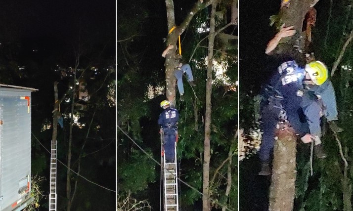 Homem fica suspenso a 15 metros de altura durante corte de árvore