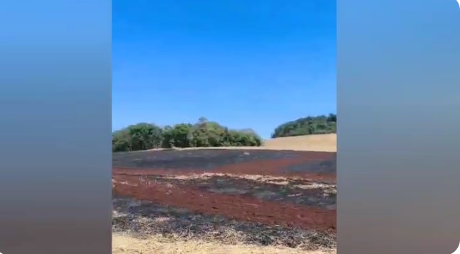 Fogo em cabos da rede elétrica provoca incêndio em lavoura