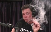 Elon Musk se torna o primeiro trilionário da história após estreia da SpaceX na Nasdaq