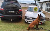 Homem é preso com cocaína durante operação do BPFRON