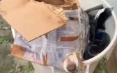 Cachorro é encontrado preso em caixa dentro de lixo em Guarapuava