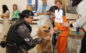 Cães da PMPR passam a auxiliar no tratamento de pacientes em hospital de reabilitação