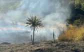 Incêndio atinge mata às margens da rodovia entre Marmeleiro e Flor da Serra do Sul