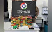 Polícia Militar apreende quase 57 kg de drogas e prende dois homens por tráfico