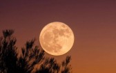 "Lua cheia do veado" poderá ser vista nesta quinta (10) em todo o Brasil; saiba como