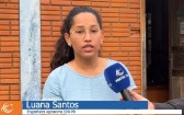 IDR Paraná promove eventos técnicos sobre cultivo de morango e bioinsumos