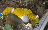Bombeiros resgatam cachorro que caiu em poço de quatro metros