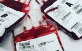 Hemosc atualiza critérios para doação de sangue em Santa Catarina