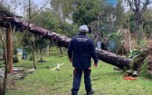 Chuvas deixam 720 desabrigados em Eldorado do Sul