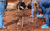 Município recebe curso para implantação e manutenção de horta comunitária