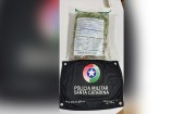 Discussão entre casal termina com apreensão de cerca de 100 pés de maconha