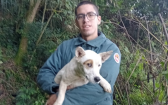 Cão é resgatado após passar quatro dias preso em penhasco de 30 metros