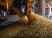 Economia brasileira cresce 1,1% no 1º trimestre