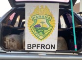 BPFRON apreende veículo carregado com combustível em Santo Antônio do Sudoeste-PR