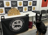 Mais de 23 kg de maconha são apreendidos em bagagem de passageiro em Xanxerê