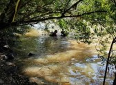 Menino de 10 anos morre afogado em rio