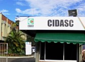 Cidasc abre concurso com 28 vagas e salários de até R$ 12,5 mil