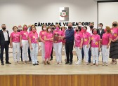 Vereadores prestam homenagem à Rede Feminina de Combate ao Câncer