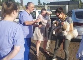 Paciente do Hospital Regional recebe visita de seus animais de estimação