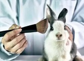 Governo proíbe uso de animais em pesquisas com cosméticos e produtos de higiene