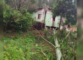 Chuva causa transtornos no Oeste de SC: destelhamentos, queda de árvores e morte de animais