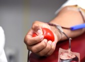 Dia Mundial do Doador de Sangue: saiba mais sobre a doação regular