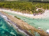 Barulho de barco e de turistas afeta comunicação de peixes, diz estudo