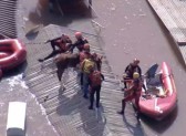 Cavalo “Caramelo” é resgatado após ficar ilhado em telhado no RS