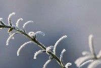 Ciclone em alto-mar causa ventos de até 80 km/h e mantém frio