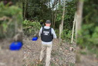 Três homens são encontrados mortos e carbonizados em área de mata em SC