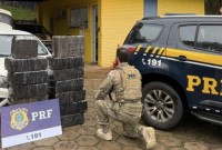 PRF apreende quase 300 quilos de maconha e prende motorista na BR-282