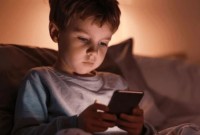 ECA Digital entra em vigor nesta terça; veja principais mudanças