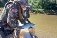 Material de pesca predatória é apreendida nos rios Uruguai e Chapecó