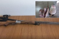 Homem é preso após ameaçar companheira e filha e PM apreender espingarda
