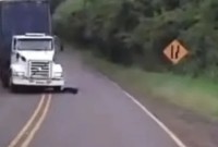 Vídeo flagra momento em que caminhão perde controle e quatro pessoas morrem em batida frontal; assista