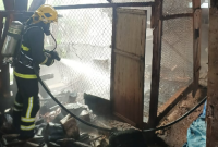 Incêndio atinge galpão agrícola e mata 35 galinhas