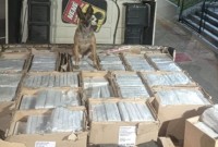 Polícia Rodoviária apreende 667 kg de maconha em caminhão na PRC-280