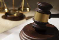 Autor de ataque a creche em Blumenau é condenado por esfaquear cachorro por vingança