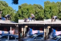 Policiais e suspeito caem de telhado durante perseguição após confronto